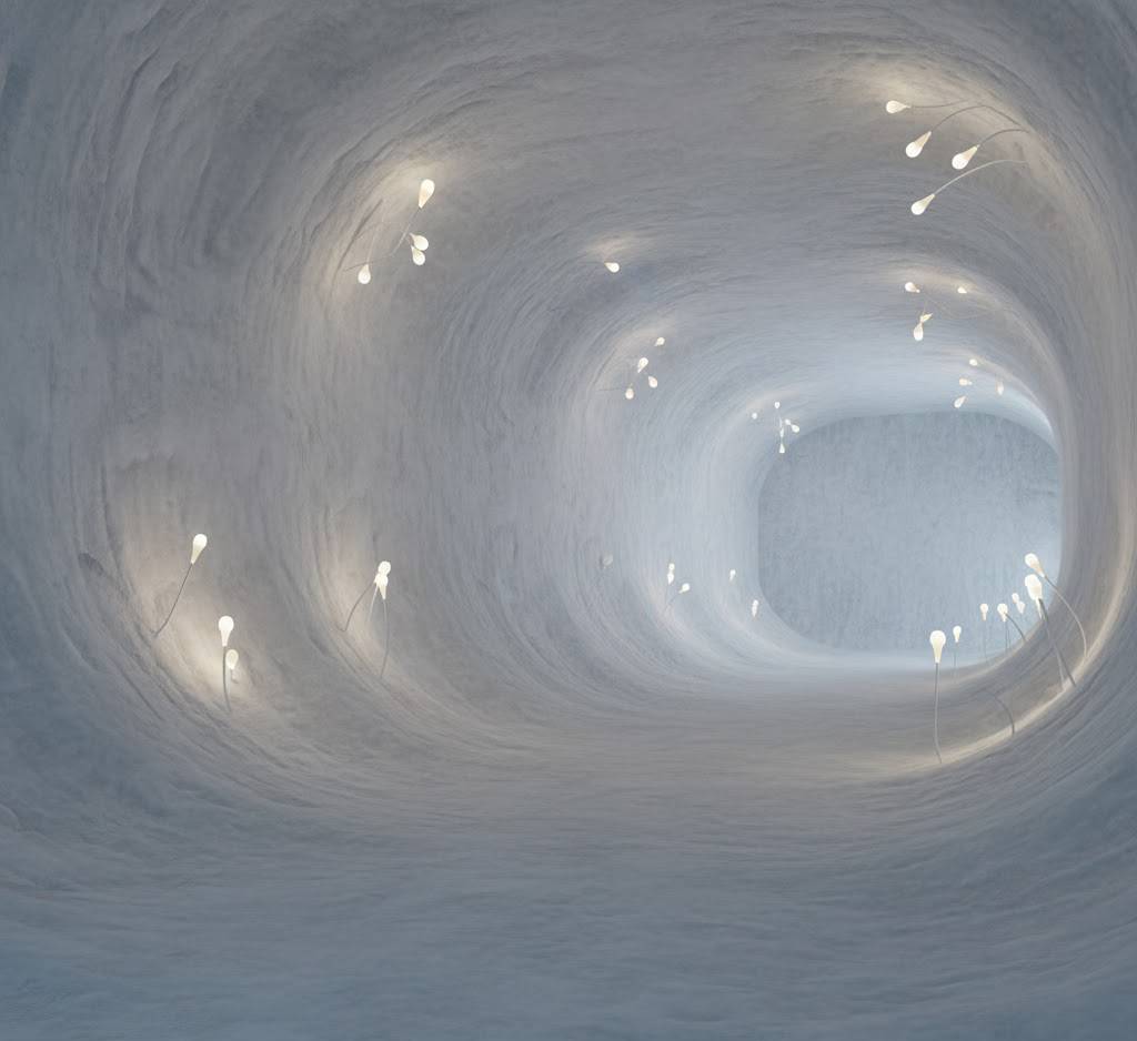 Élő épületek: A gombákból növesztett városok forradalma